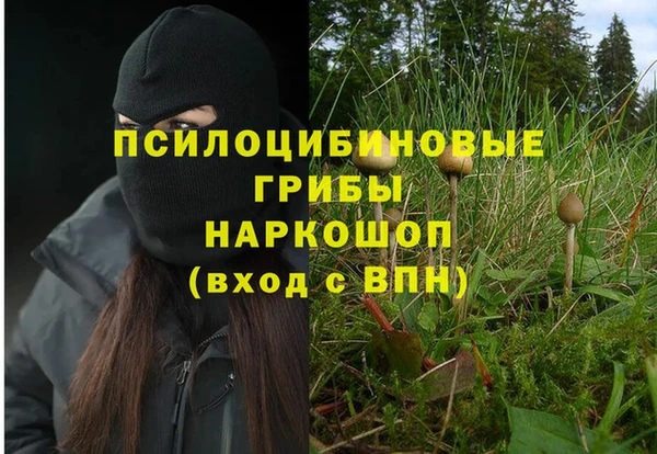 спайс Алзамай